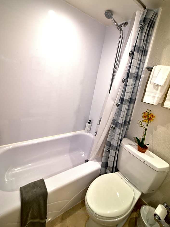 Tropical Beach Condo - Pool, Shops, 86" TV, WiFi