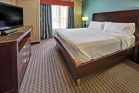 One-Bedroom King Suite with Sofa Bed