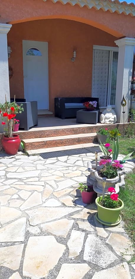 orchidee rose