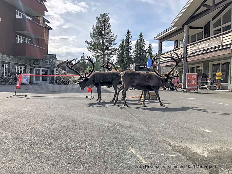 Vemdalsskalets Högfjällshotell & lägenheter