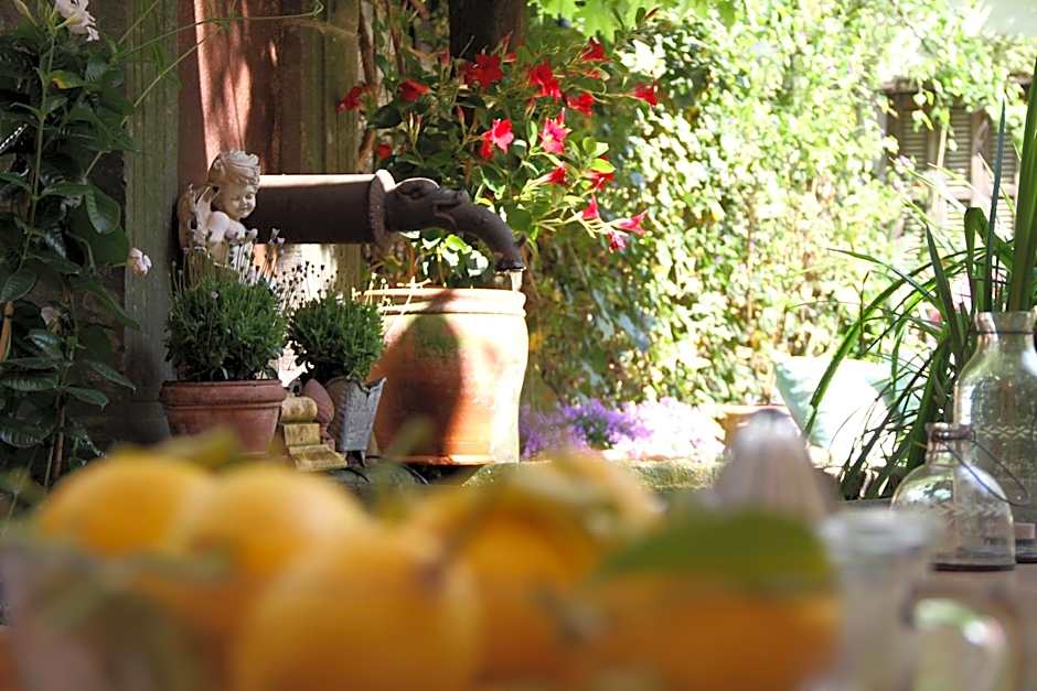 ackselhaus & blue Home