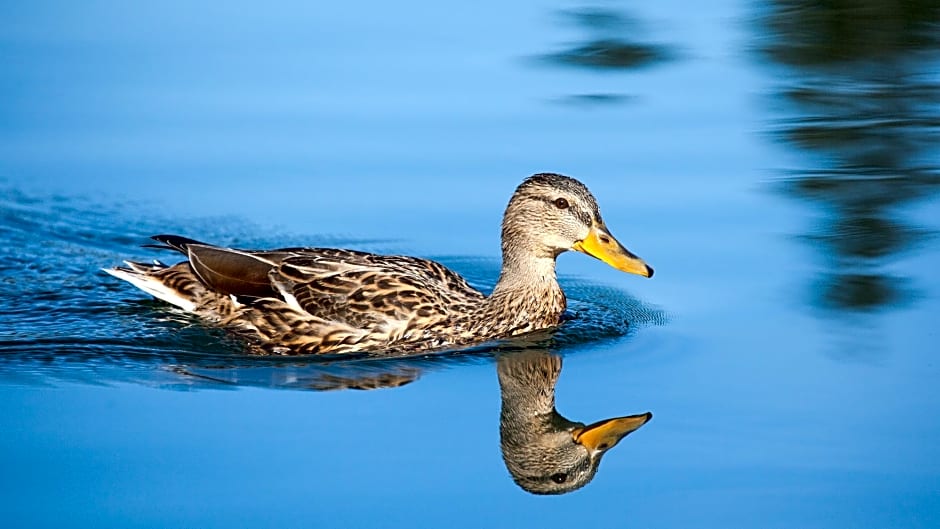 Holiday Inn Express London Gatwick Crawley By IHG