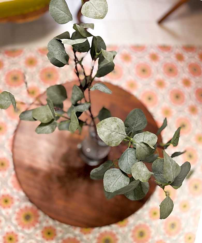 Anahita Boutique Hotel