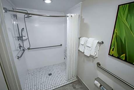 King Bed-Accessible-Non-Smoking
