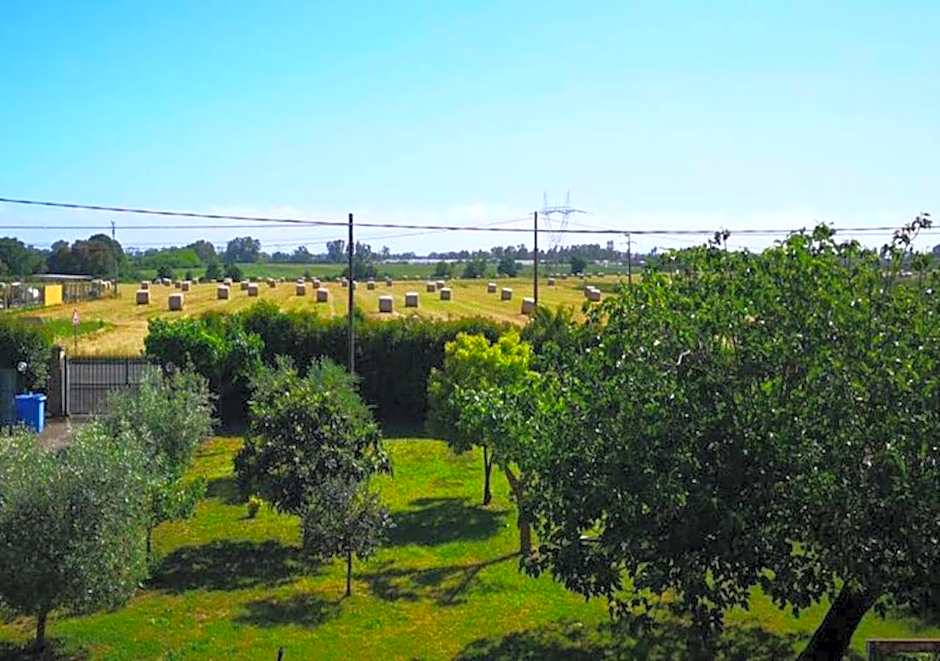 Eco House San Michele