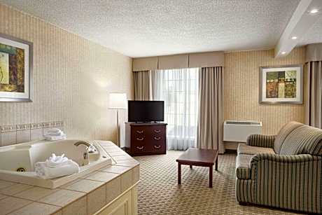 Suite King Bed Non Smoking