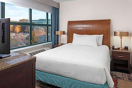 1 QUEEN BED JUNIOR CONFERENCE SUITE