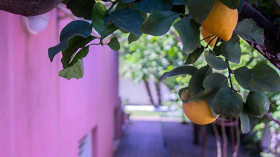 Villa Nepi apartments