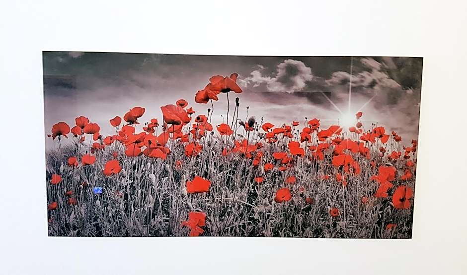 Hotel Garni Jägerhof