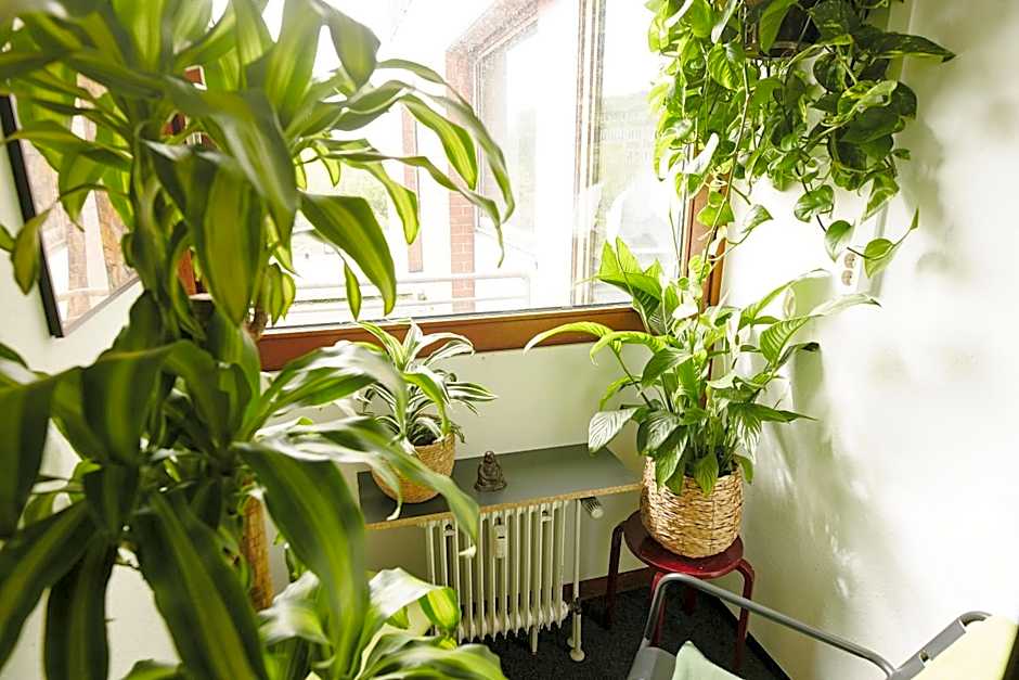 Sleep Station Hostel