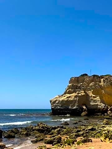 Apartamento ARMAÇÃO PÊRA