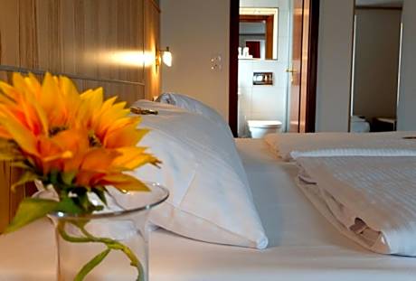 Comfort Double or Twin Room