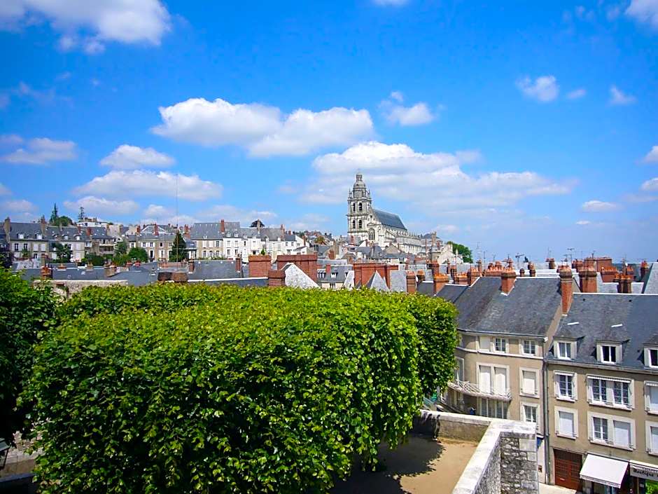 ibis Blois Centre Château