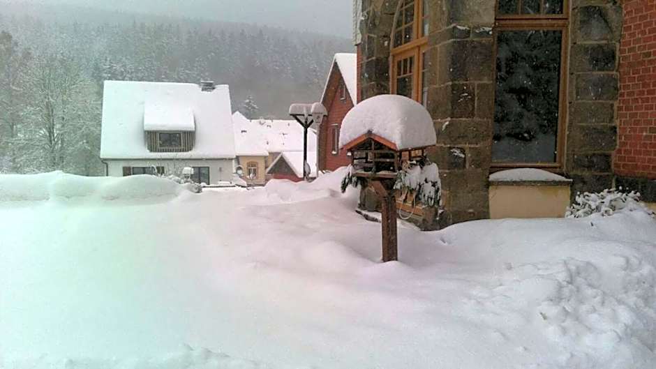 Comfort-Hotel garni Schierker Waldperle - inklusive Wellness