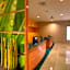 SpringHill Suites by Marriott Tampa Brandon