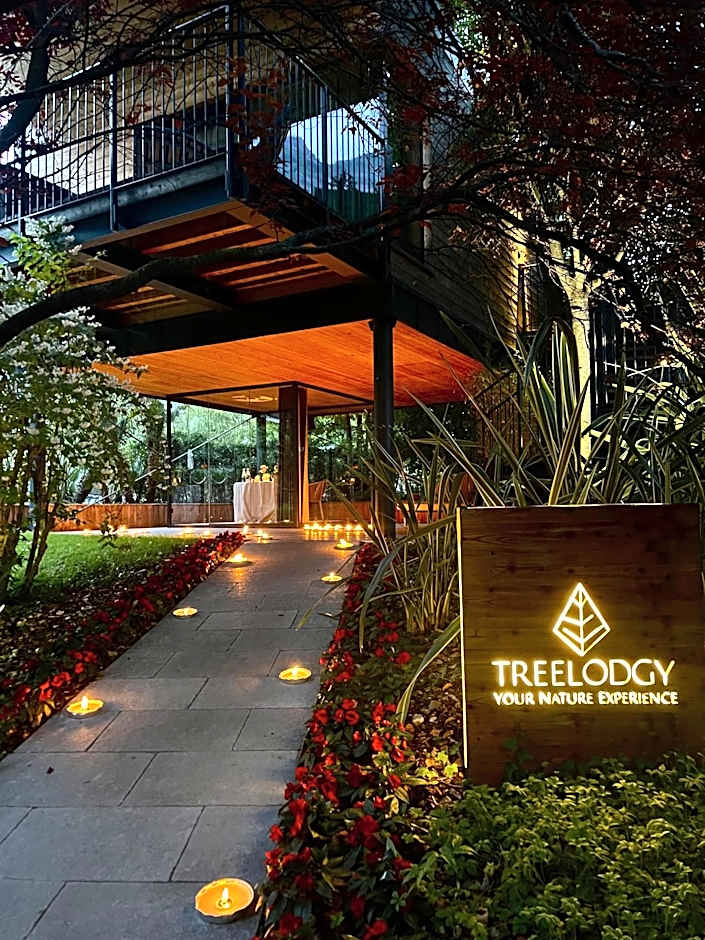 TreeLodgy, The Tree House