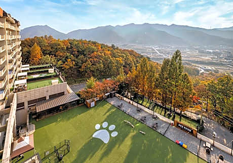 Kensington Resort Chungju
