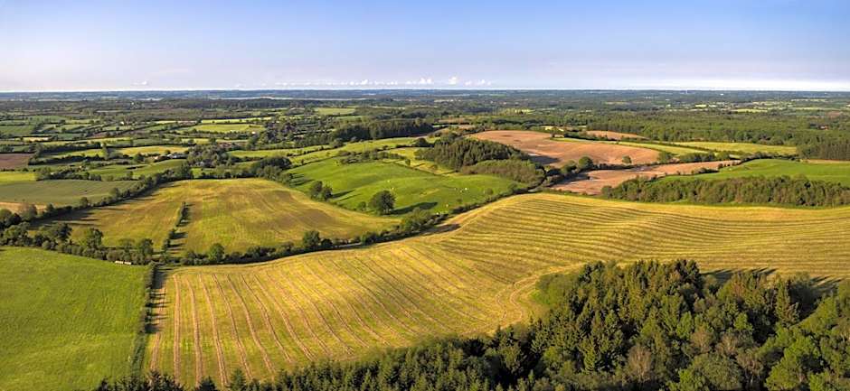 Panorama Hotel Aschberg