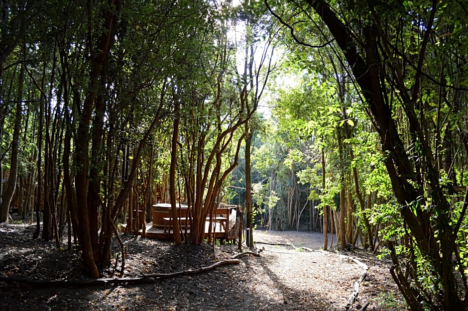 Cabañas Ensenada Bosque Nativo