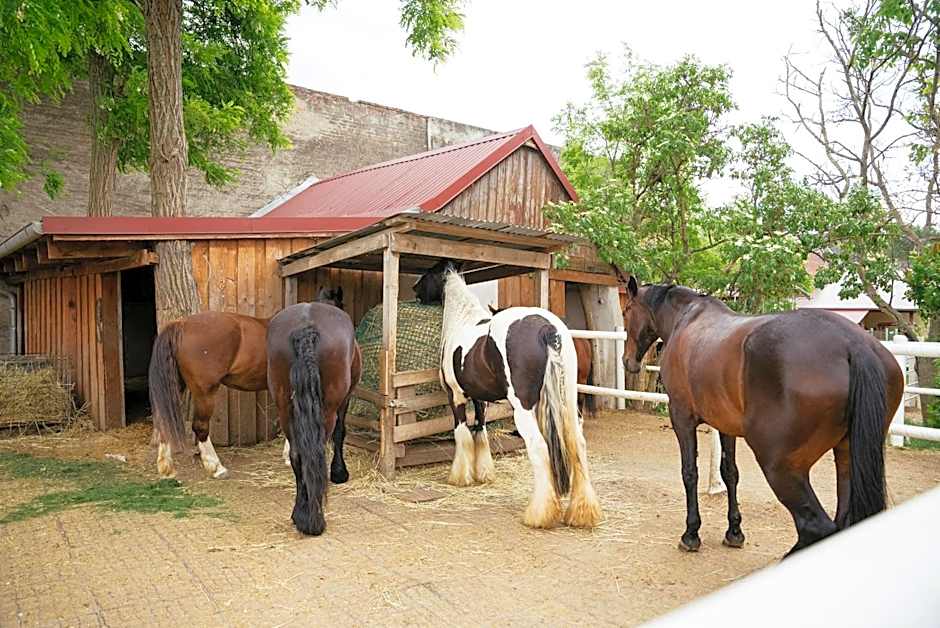 Ranchzimmer am Hippo-Campus Reit- und Therapiezentrum