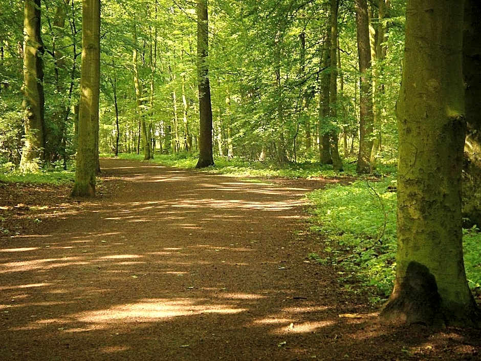 OLD PRINTING HOUSE - Modern I City I 2 Min HBF I E-Ladesäule
