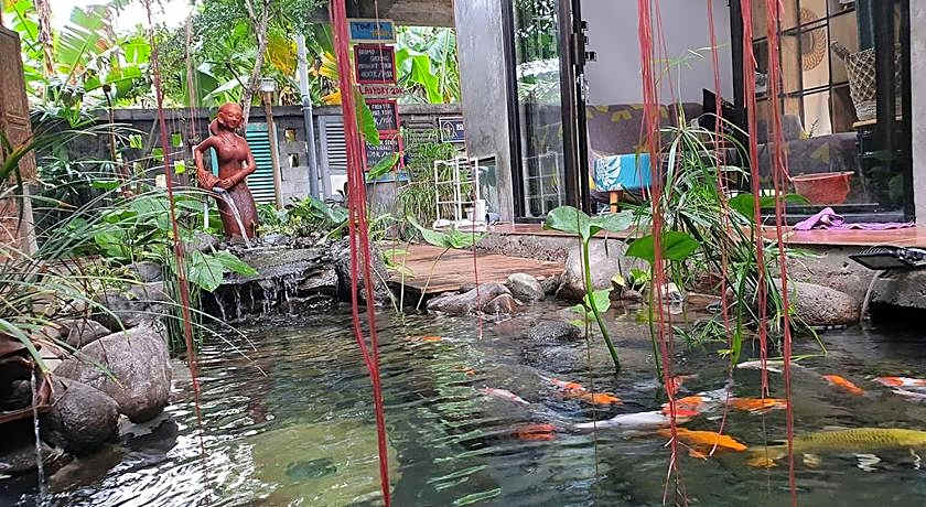 Happy House BnB Bromo backpacker