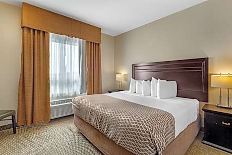 Suite-1 King Bed Non-Smoking Separate Bedroom Sofabed Microwave And Refrigerator Shower Only Full Br