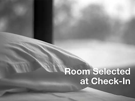 Room Selected at Check-In - Non-Pet Friendly