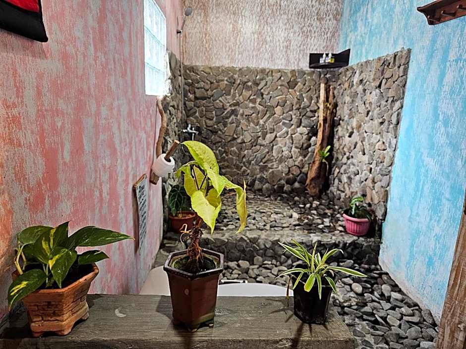 Lovina Loca