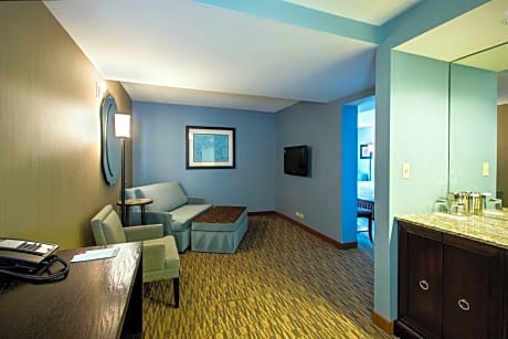 One-Bedroom King Suite