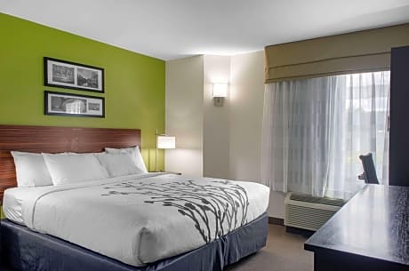 King Room with Roll-In Shower - Accessible/Non-Smoking