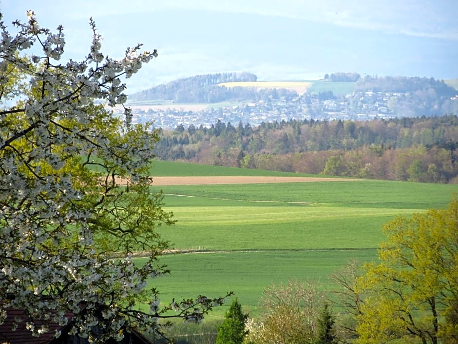 Le Relais du Château Monney