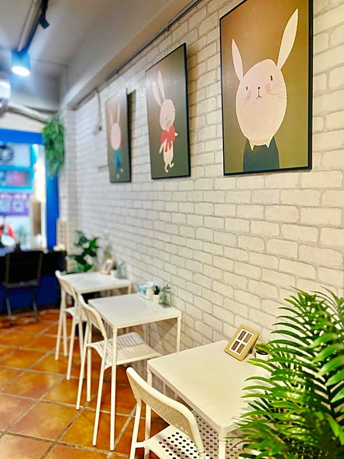 tourist Bunny Hostel