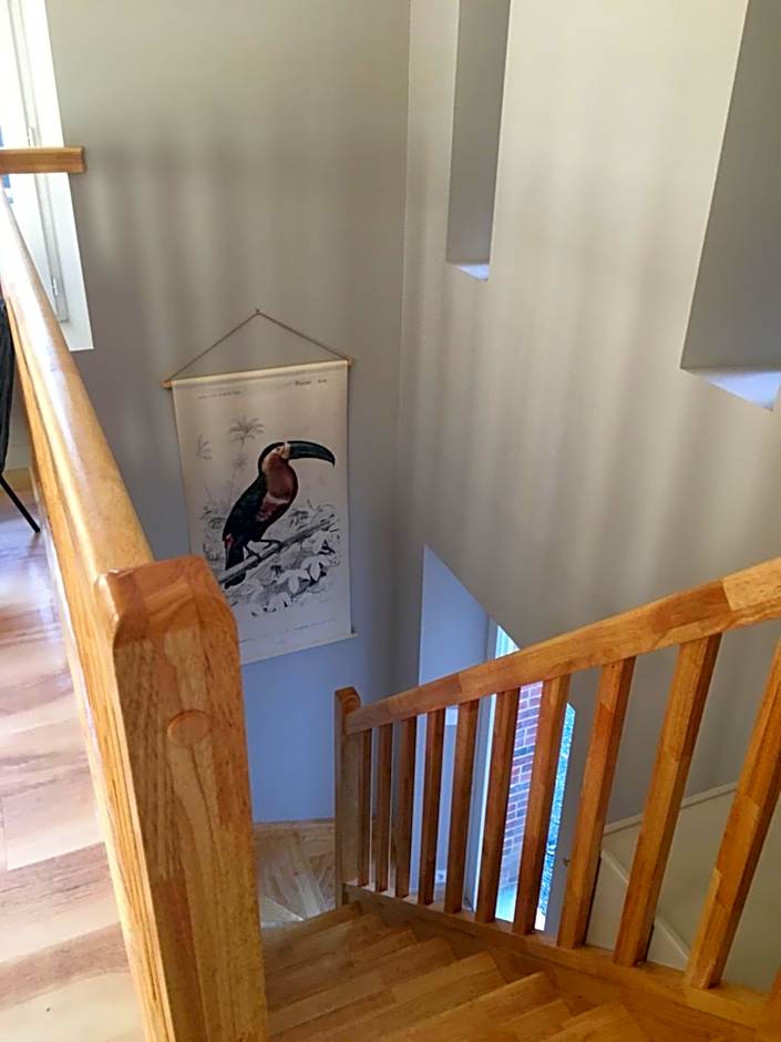 Cabanes et Studios à la Bernardiere