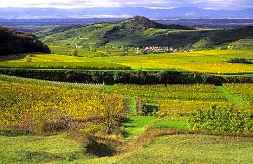 Landgasthof zum Lamm