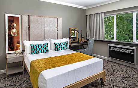 Standard Room 1 Queen Bed Smoking