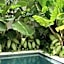 Alma Bingin Boutique Hotel