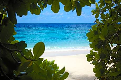 Beach Plunge Pool Villa, 122sqm, Beachfront, Butler Service, Sunset view