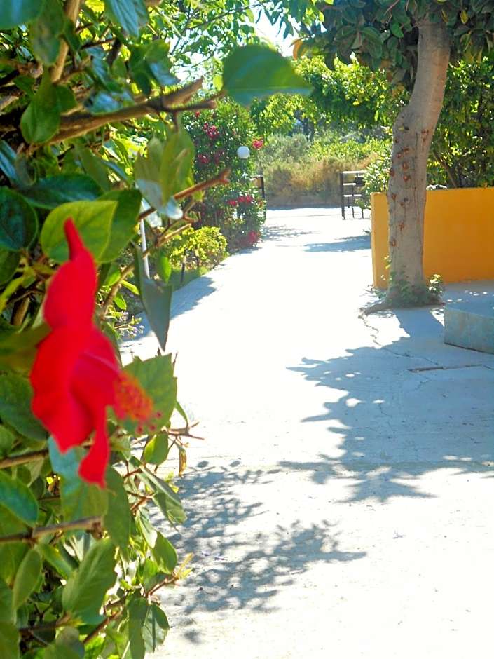 Villa Sofia