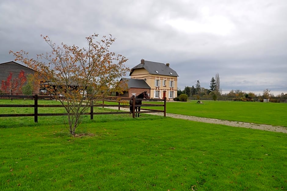 B&B Haras de la Cour Fleury