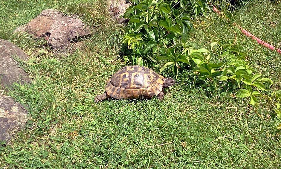 Iliada Hotel Kaz Daglari