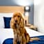 Bristol Hotel Budapest