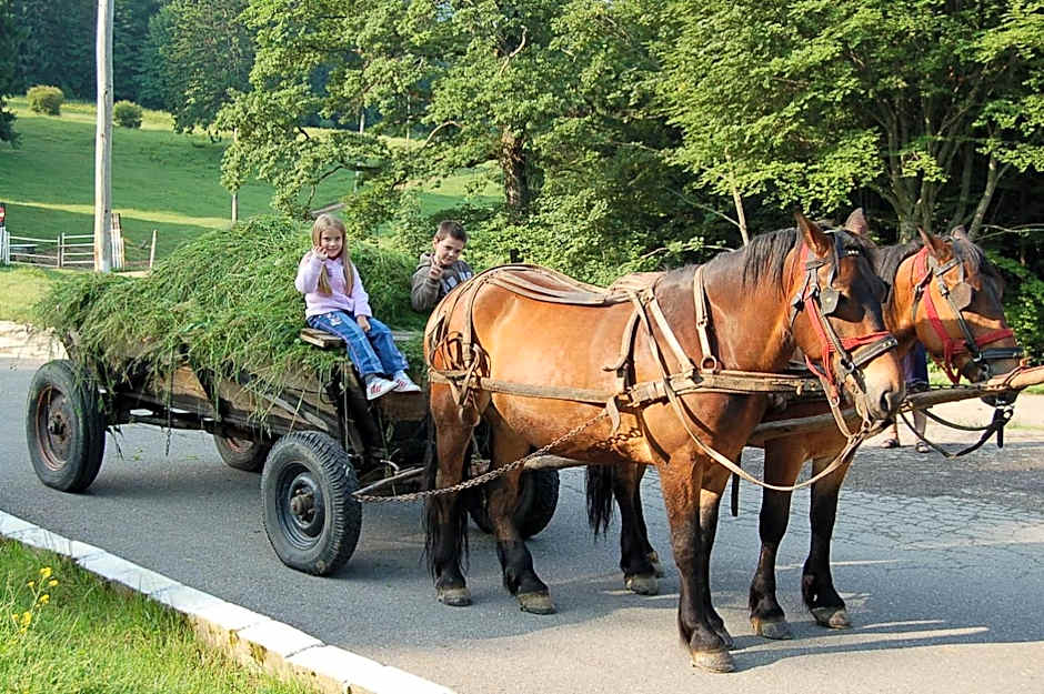 Centrul de Echitatie Poiana Brasov