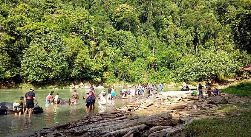 Green lodge tangkahan 