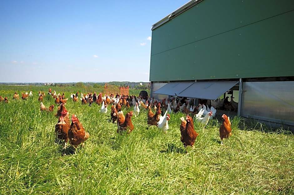 Regenbogenhof Rudelswalde
