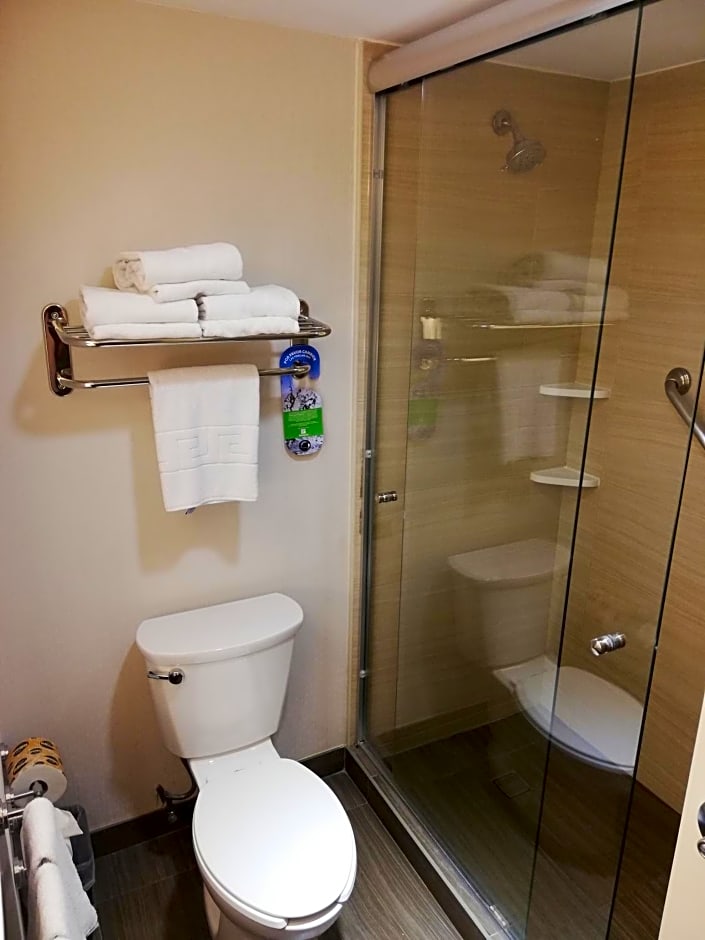 Holiday Inn Tampico Altamira By IHG