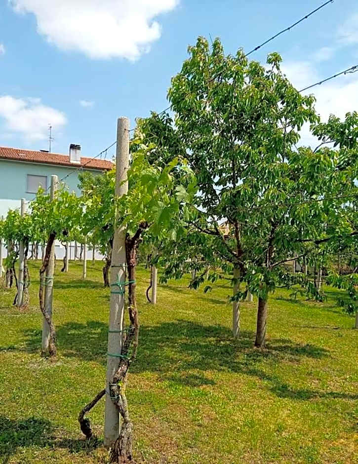 La Cjase di Pieri e Vilme