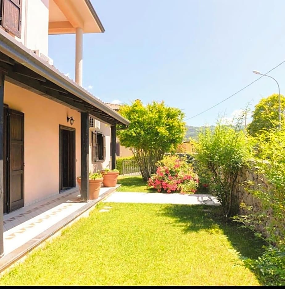 La quercia di Massena