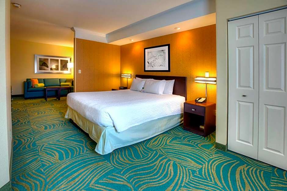 SpringHill Suites by Marriott Tampa Brandon