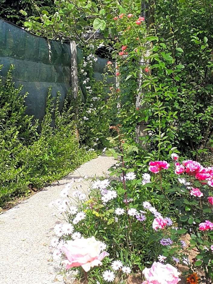 Quinta D'Avó Amélia